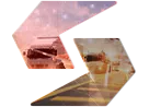 sav icon